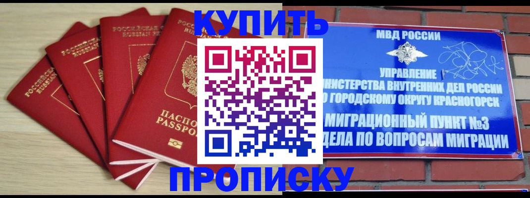 пропишу в квартире в Новошахтинске